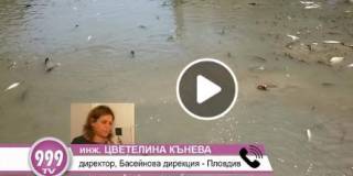 Законът е бил нарушен. Кой е виновен - само Съд може да каже обаче!