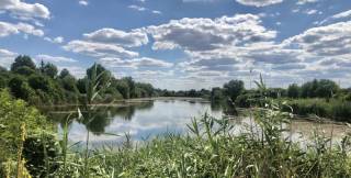 Забранява се риболовът в Гребната база на Ямбол до 30 юни 2021 година