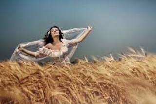 В цъфналата ръж