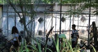 Завърши лятната превантивна програма „Здравей, наше Лято!“