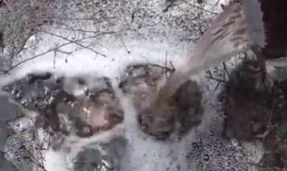 Европейското депо на Славов продължава да тече мръсно. Глобата на кмета пак ние ще плащаме.