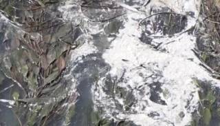 Новини от телевизии в Ямбол /допълнена/