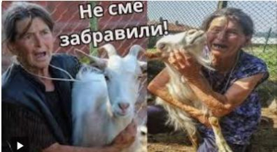 А помните ли колко животни избиха , че и без симптоми на болест?