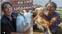 Не Брюксел е забранявал да ваксинираме..."Нашите" били ! Лъгаха..и ИЗБИВАХА ЖИВОТНИТЕ