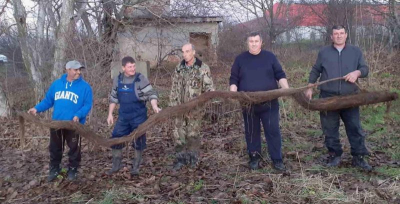 &quot;Лисича опашка&quot; почти запуши водопровода на Стралджанско село