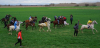 Общинският празник на коня и конния спорт събра стотици в с. Тенево /победителите/