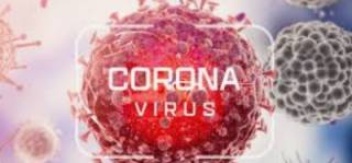 11 октомври - коронавирусната информация