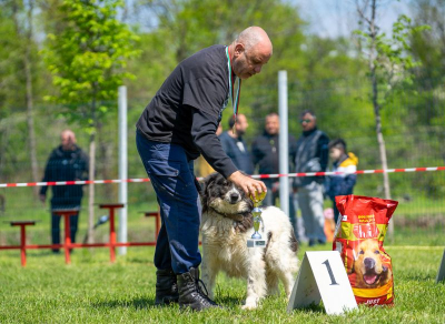 Ямбол събра над 40 каракачански кучета от цялата страна в 41-вата