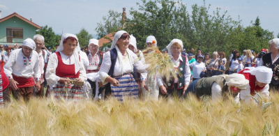 16 юни - в с. Търнава за десети път ще бъде открита жътвената кампания в община „Тунджа“