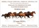 ТРИНАДЕСЕТИ ОБЩИНСКИ ПРАЗНИК НА КОНЯ И КОННИЯ СПОРТ